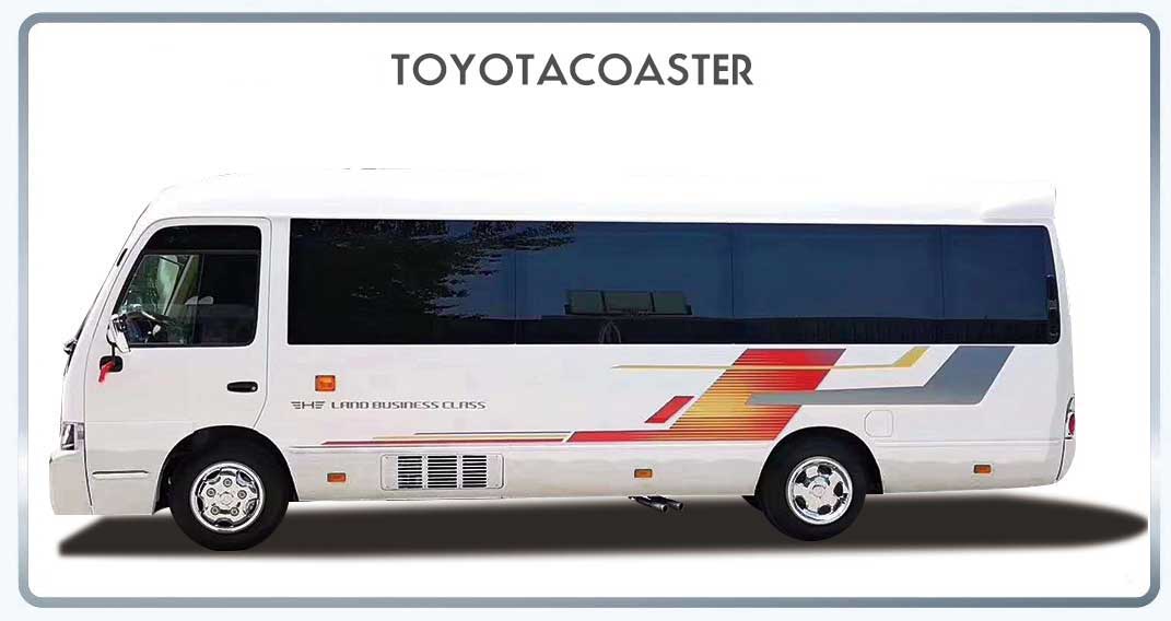 DECAL KIT SUITABLE FOR TOY COASTER (LARGE HEIGHT DECAL)