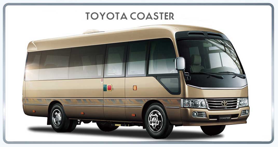 DECAL KIT SUITABLE FOR TOY COASTER (SLIM DECAL)