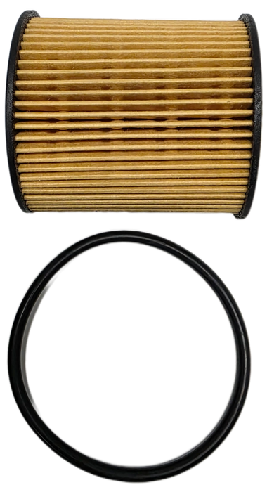 FILTER OIL SUITABLE FOR MAZ (U2Y0-14-302) (RFO-087)